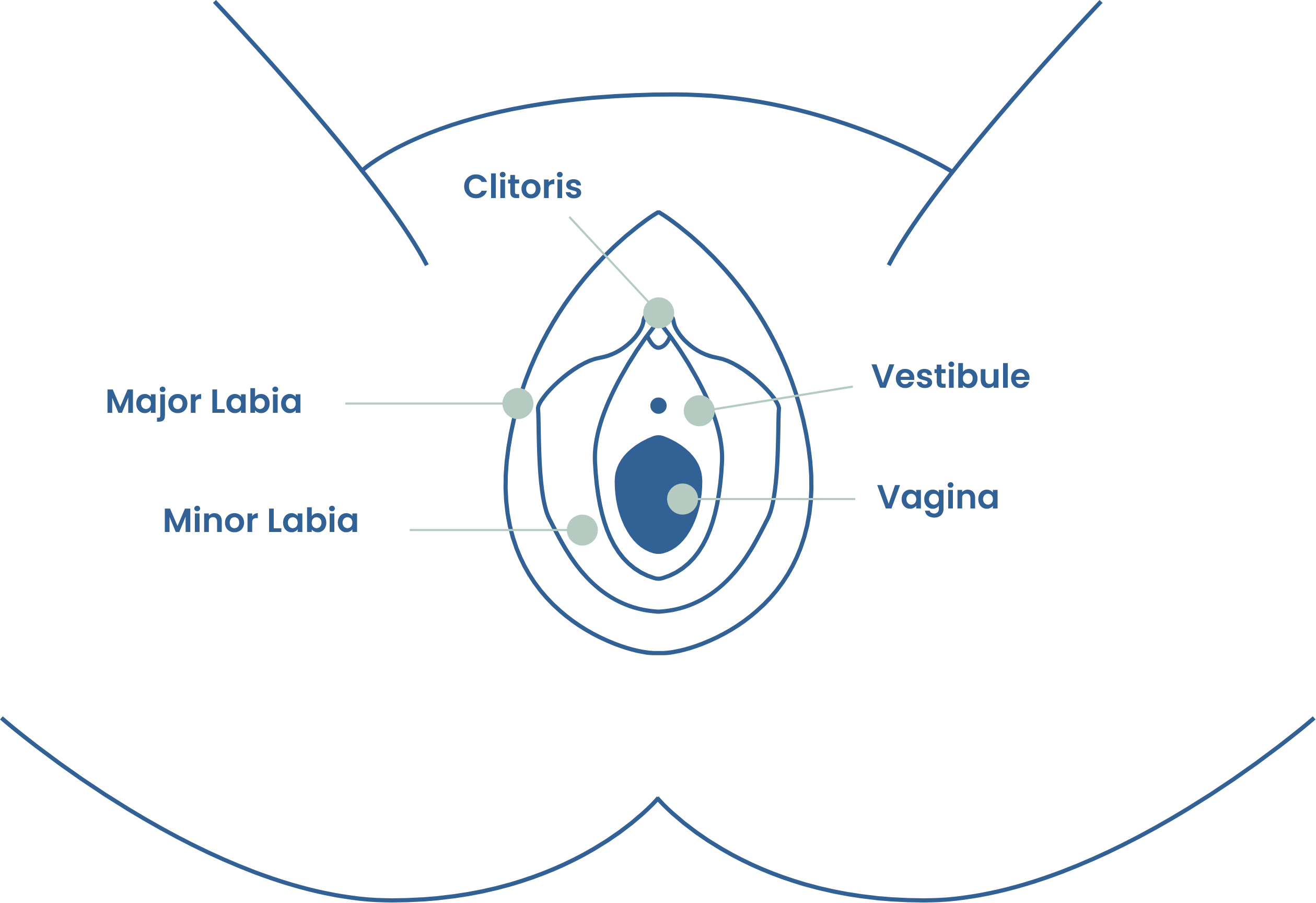 EpiGyn Cream for Vulvar and Vaginal Discomfort